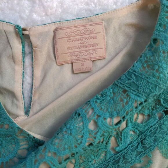 Anthro Champagne and Strawberry Lace Dress Floral Blue Shift Summer Size S - Picture 9 of 9